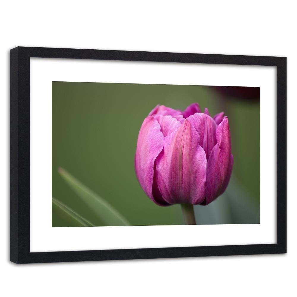 Glezna melnā rāmī - Purple Tulip Home Trends
