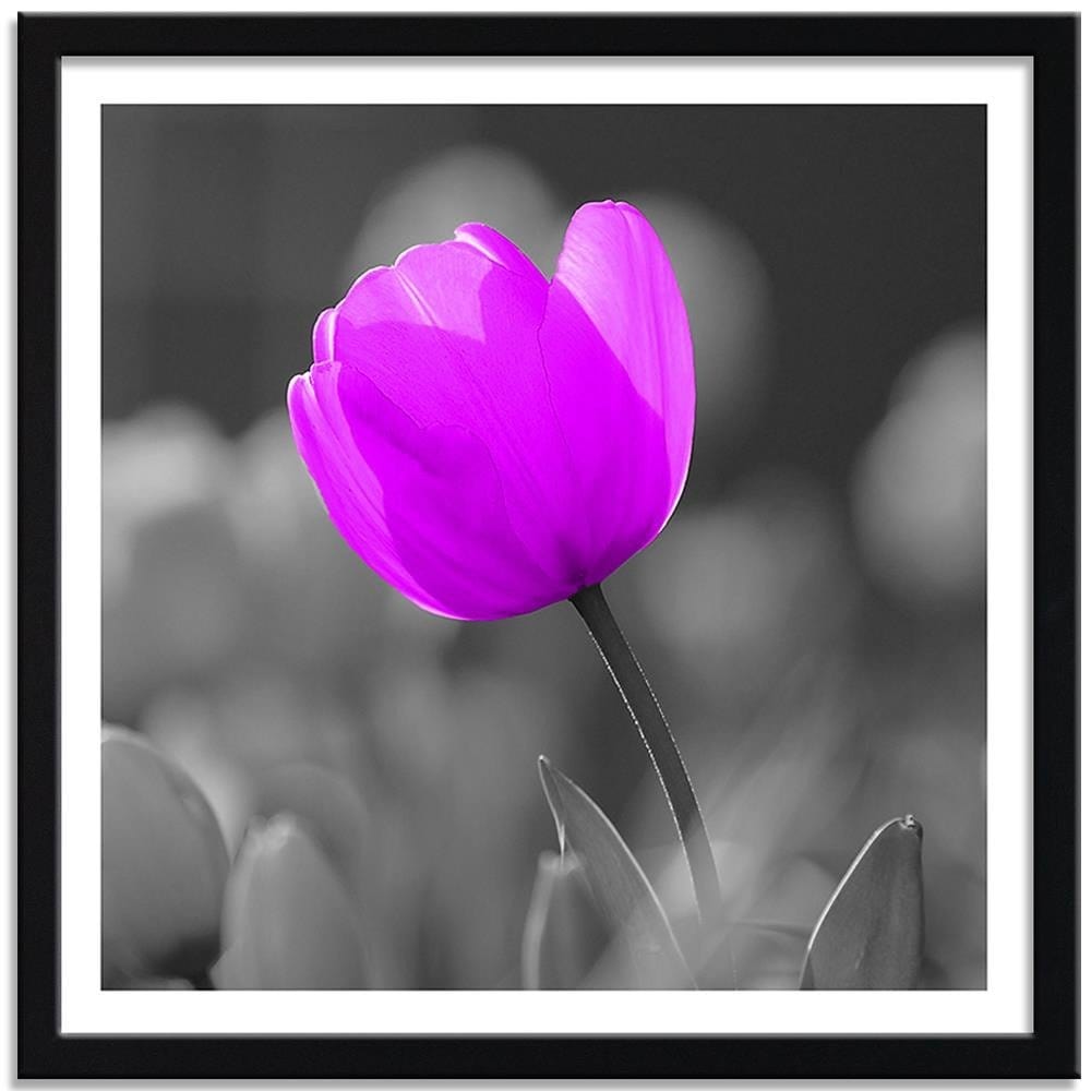 Glezna melnā rāmī - Purple Tulip Home Trends