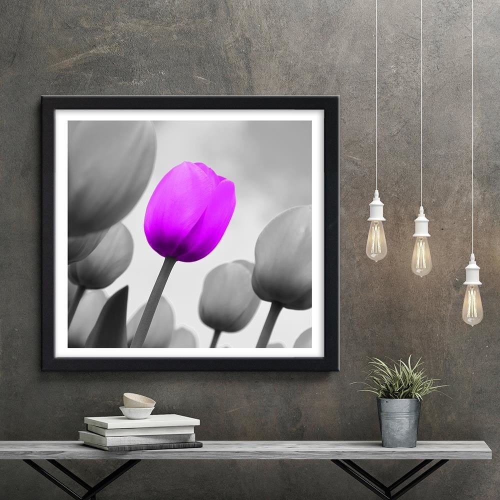 Glezna melnā rāmī - Purple Tulip In Gray Home Trends