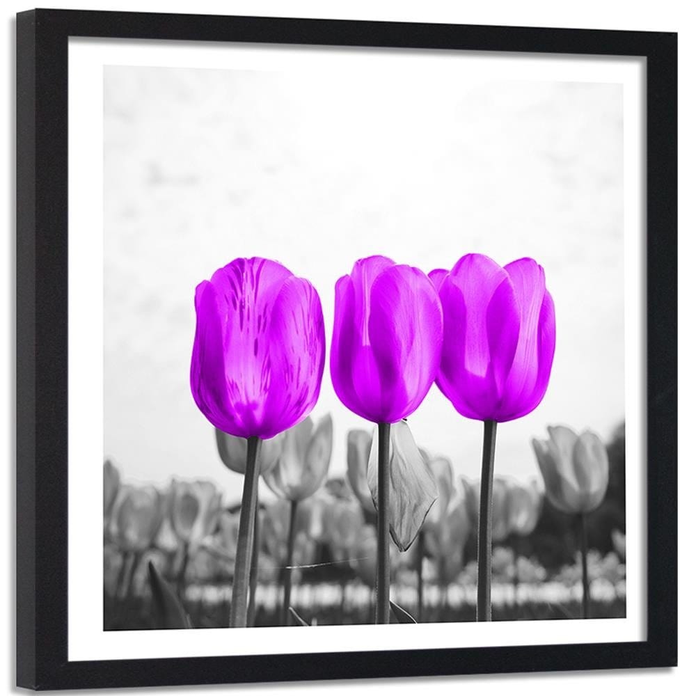 Glezna melnā rāmī - Purple Tulips Home Trends