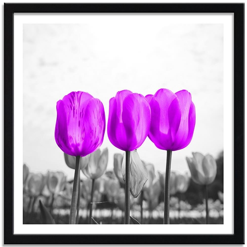 Glezna melnā rāmī - Purple Tulips Home Trends