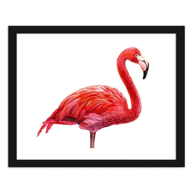 Glezna melnā rāmī - Realistic flamingo illustration Home Trends