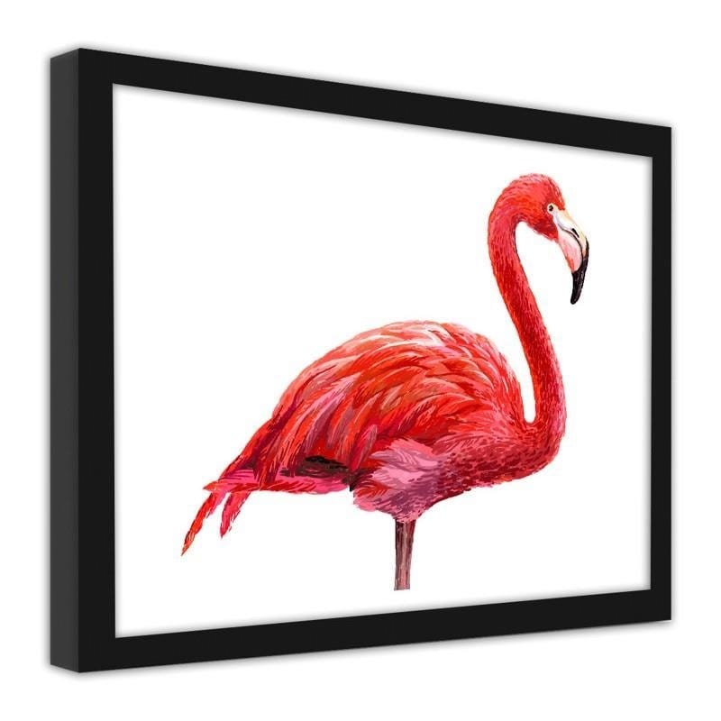 Glezna melnā rāmī - Realistic flamingo illustration Home Trends