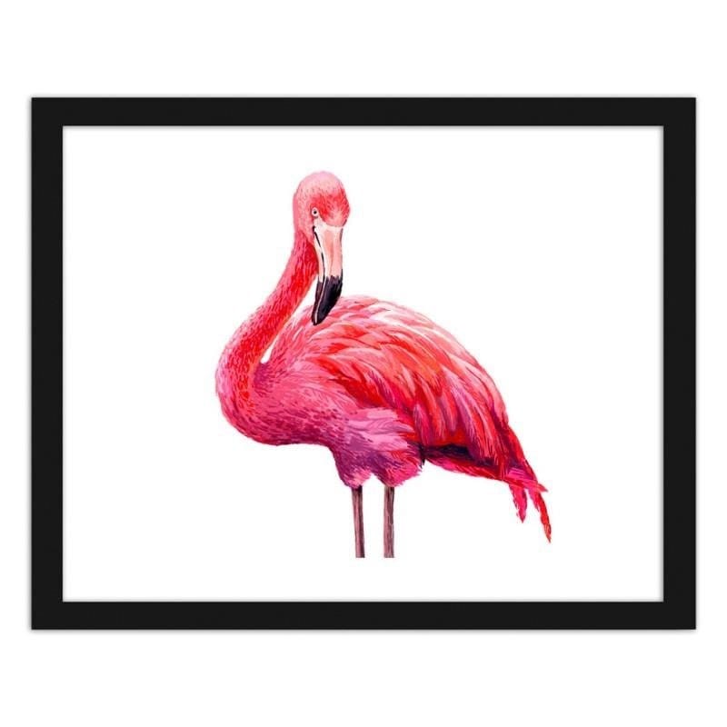 Glezna melnā rāmī - Realistic illustration of a pink flamingo Home Trends