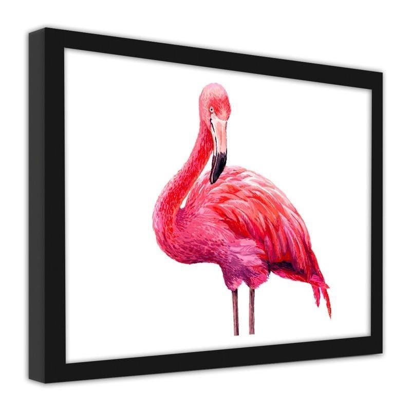 Glezna melnā rāmī - Realistic illustration of a pink flamingo Home Trends