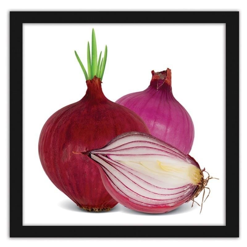 Glezna melnā rāmī - Red onions Home Trends