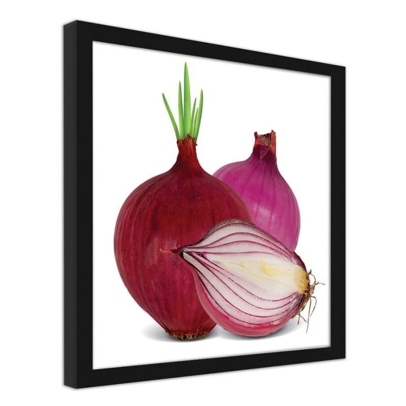 Glezna melnā rāmī - Red onions Home Trends