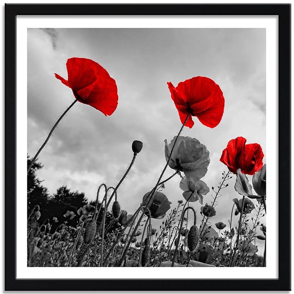 Glezna melnā rāmī - Red Poppies On The Meadow Home Trends