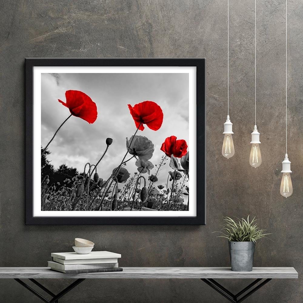 Glezna melnā rāmī - Red Poppies On The Meadow Home Trends