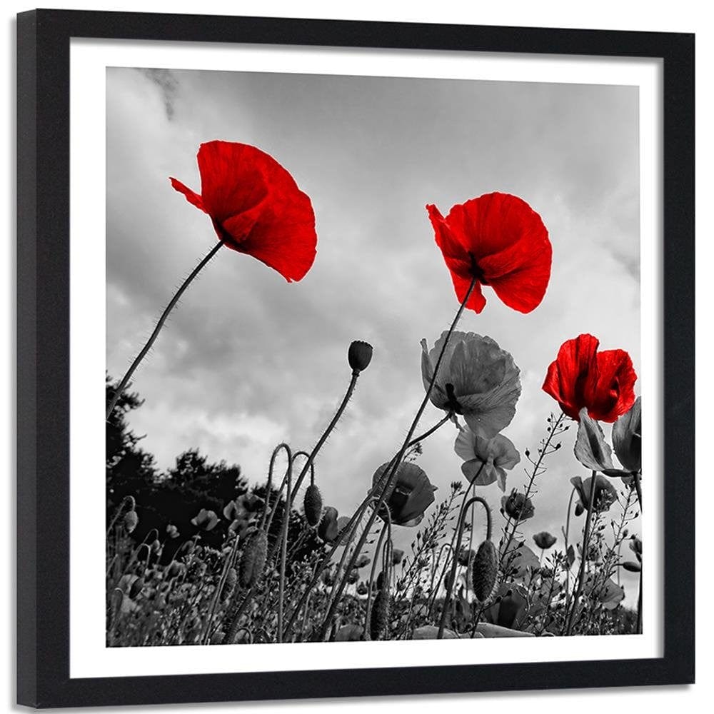 Glezna melnā rāmī - Red Poppies On The Meadow Home Trends