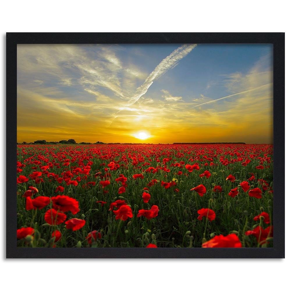 Glezna melnā rāmī - Red Poppy Flowers Home Trends