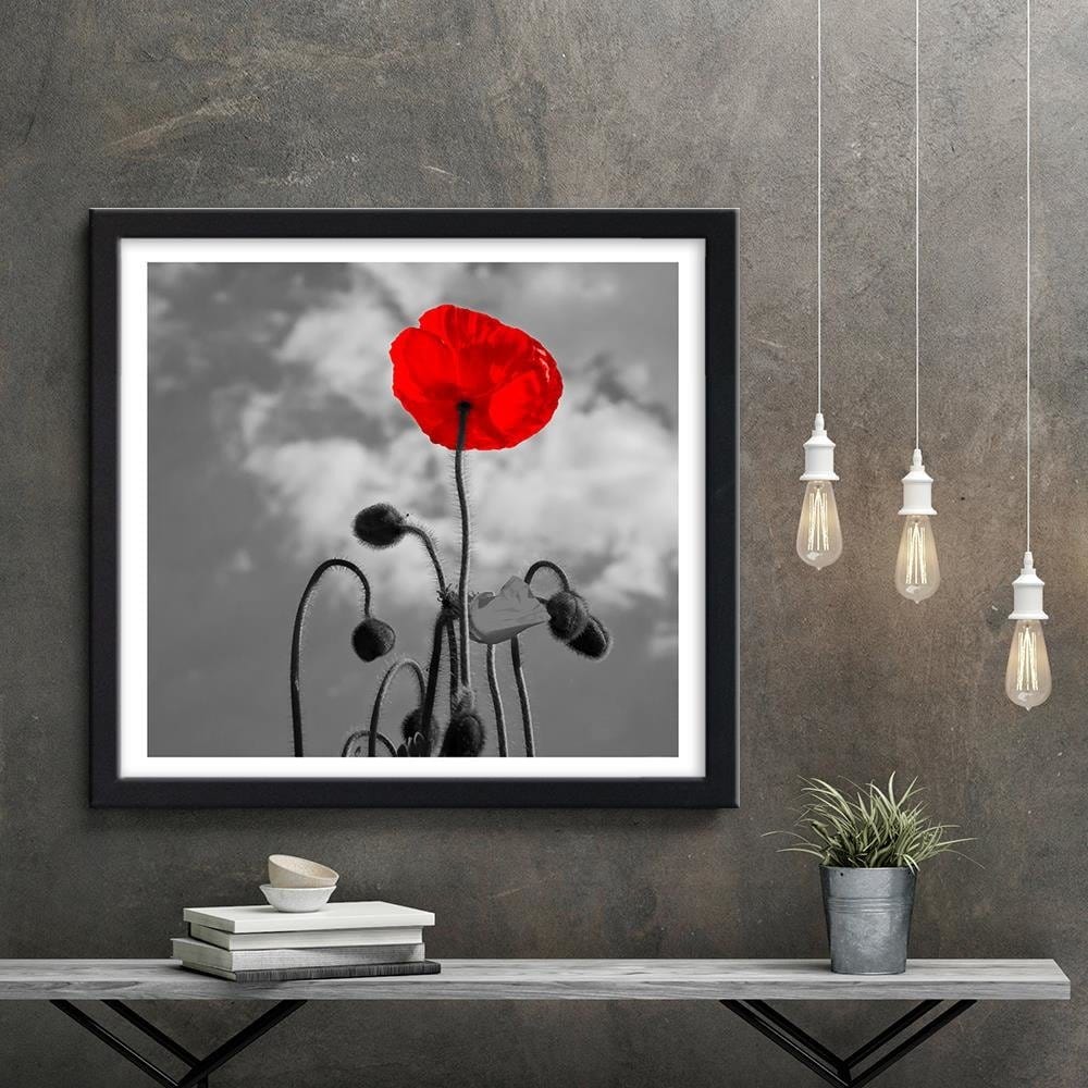 Glezna melnā rāmī - Red Poppy Home Trends