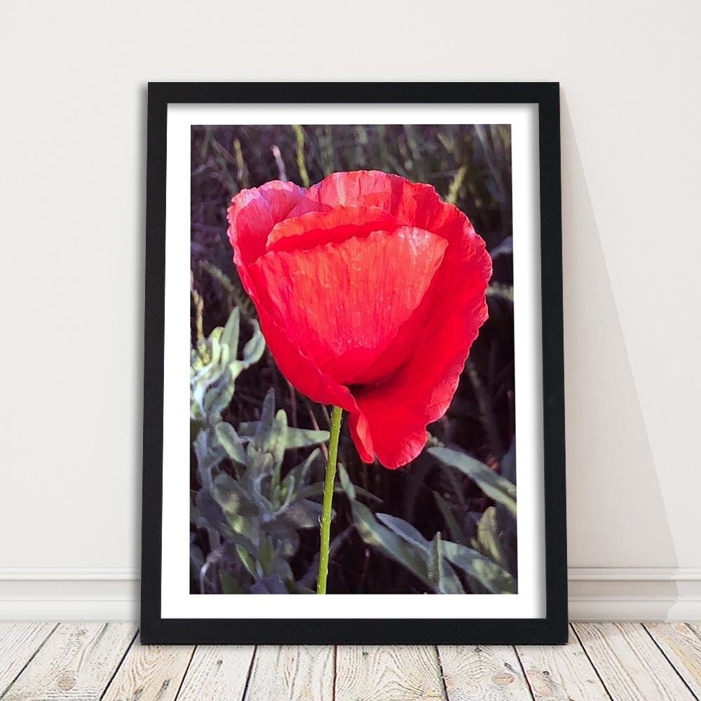 Glezna melnā rāmī - Red Poppy Home Trends