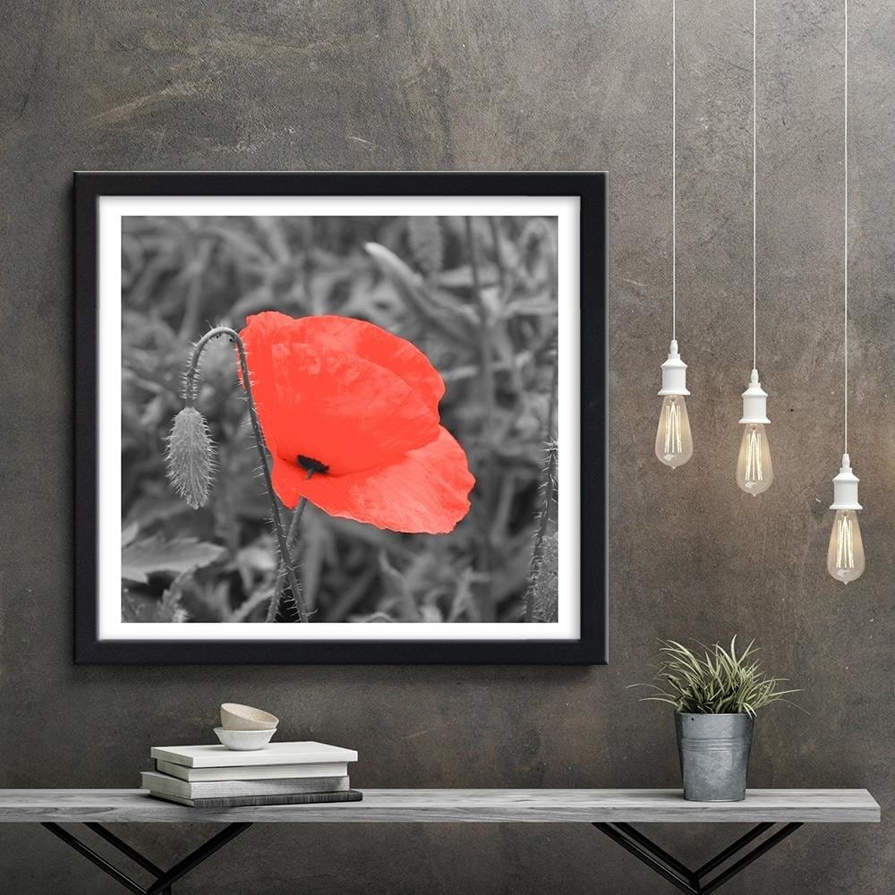 Glezna melnā rāmī - Red Poppy In Gray Home Trends