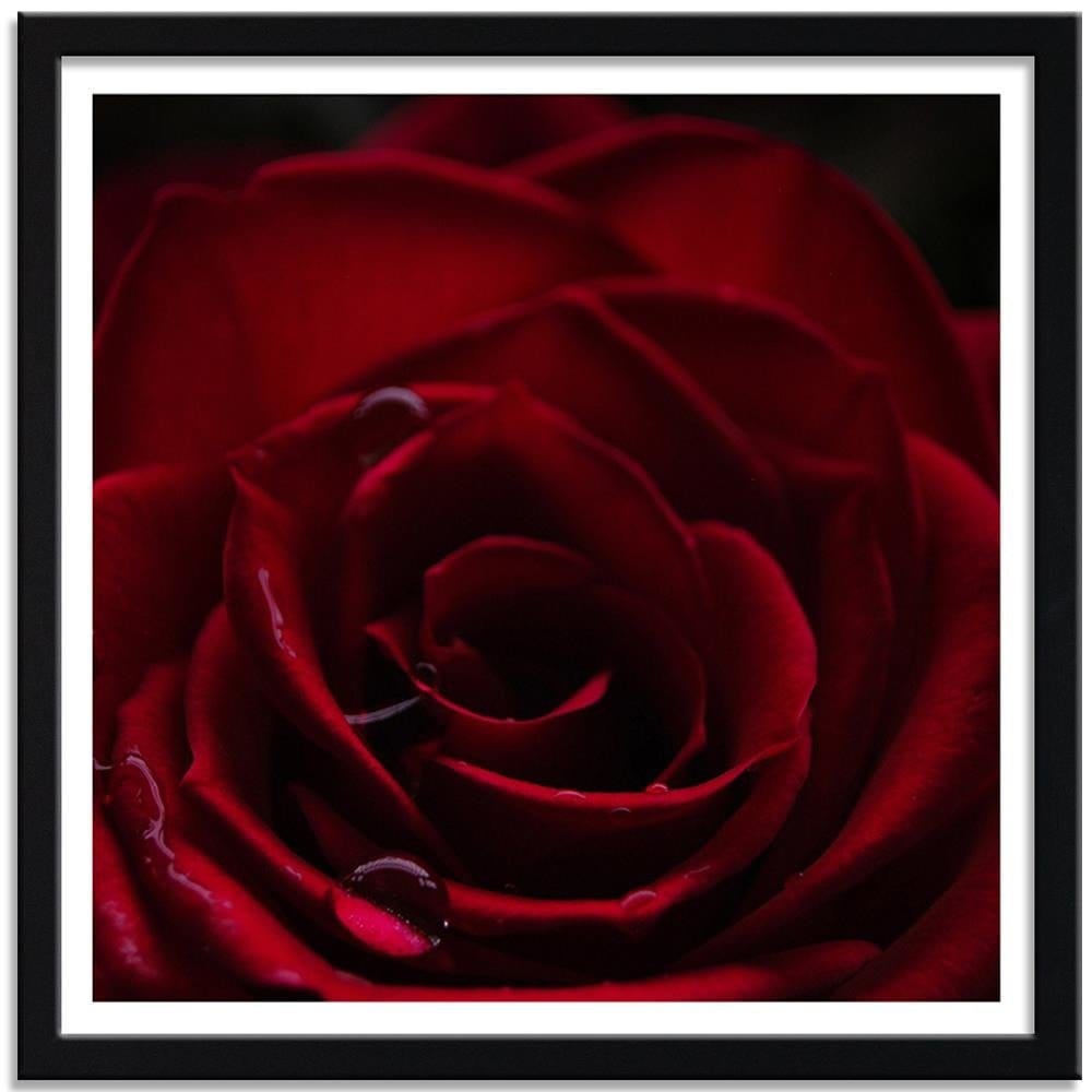 Glezna melnā rāmī - Red Rose Home Trends