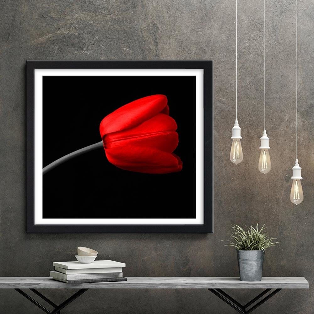 Glezna melnā rāmī - Red Tulip Home Trends