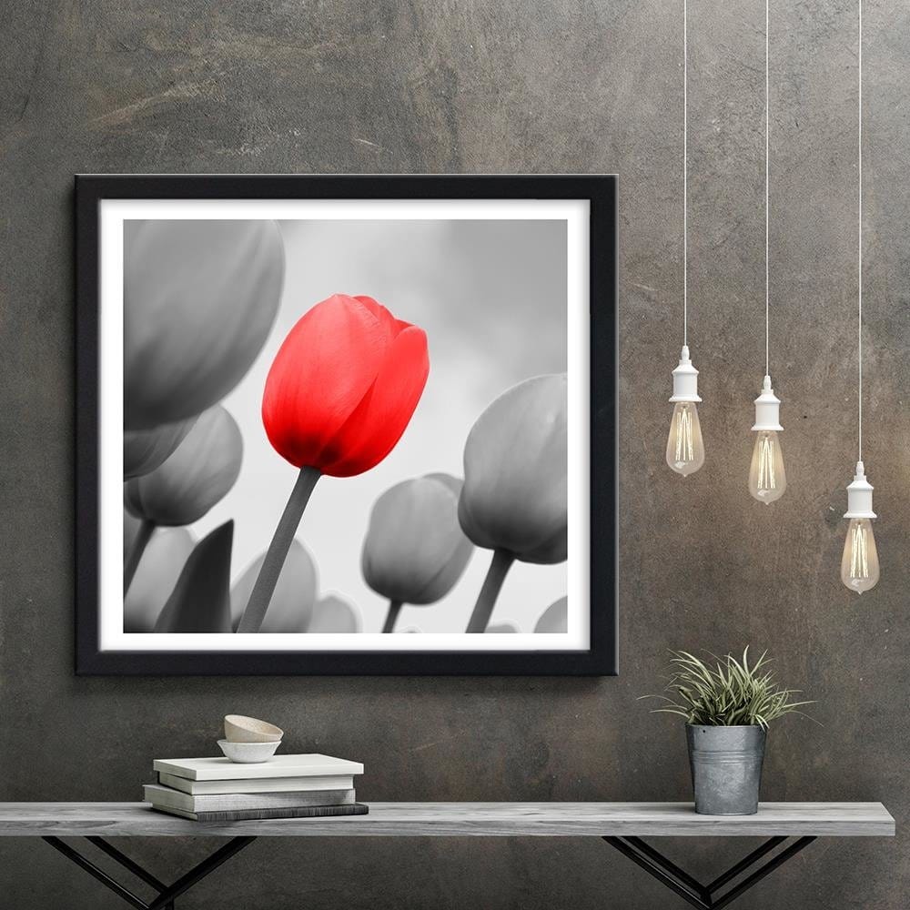 Glezna melnā rāmī - Red Tulip In Gray Home Trends