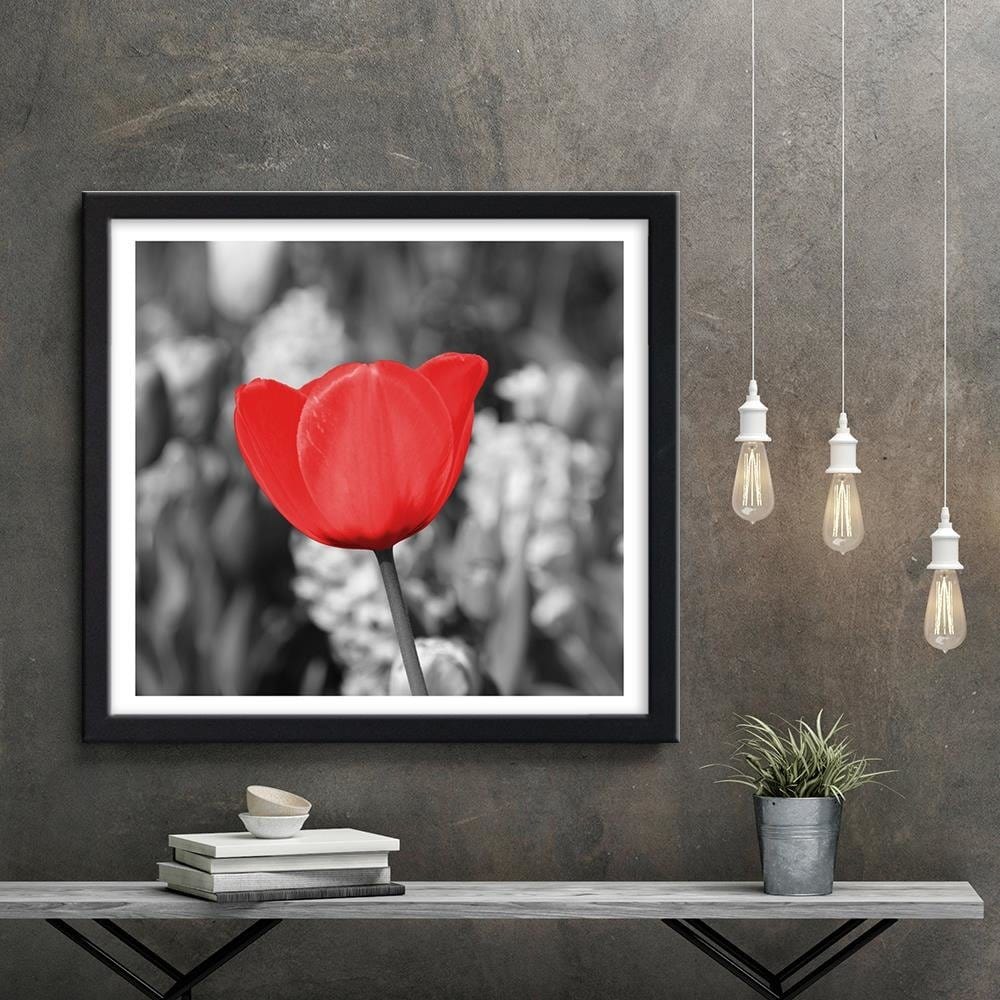 Glezna melnā rāmī - Red Tulip On The Meadow Home Trends