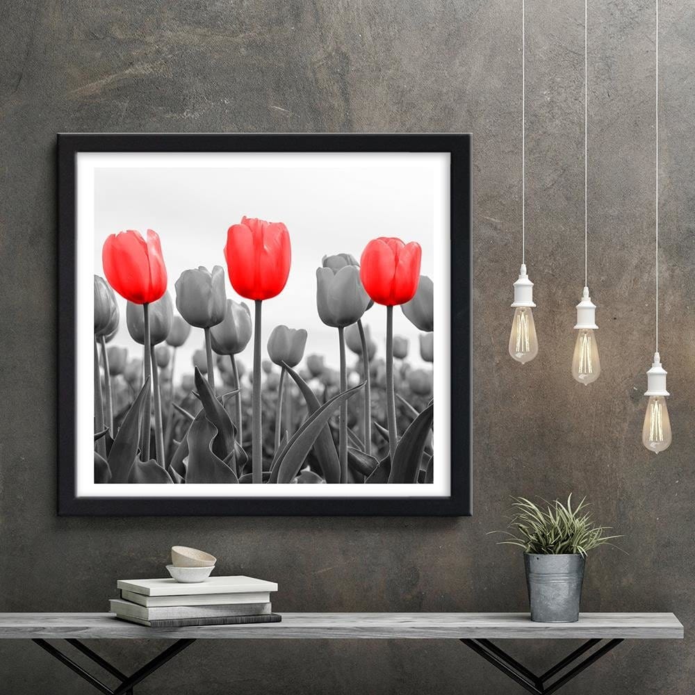 Glezna melnā rāmī - Red Tulips On The Meadow Home Trends