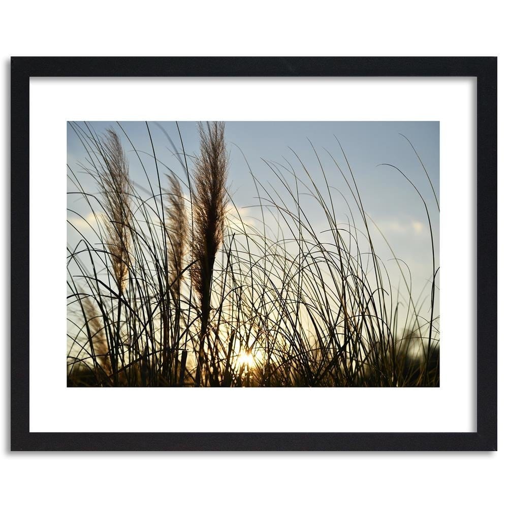 Glezna melnā rāmī - Reed In The Sun  Home Trends