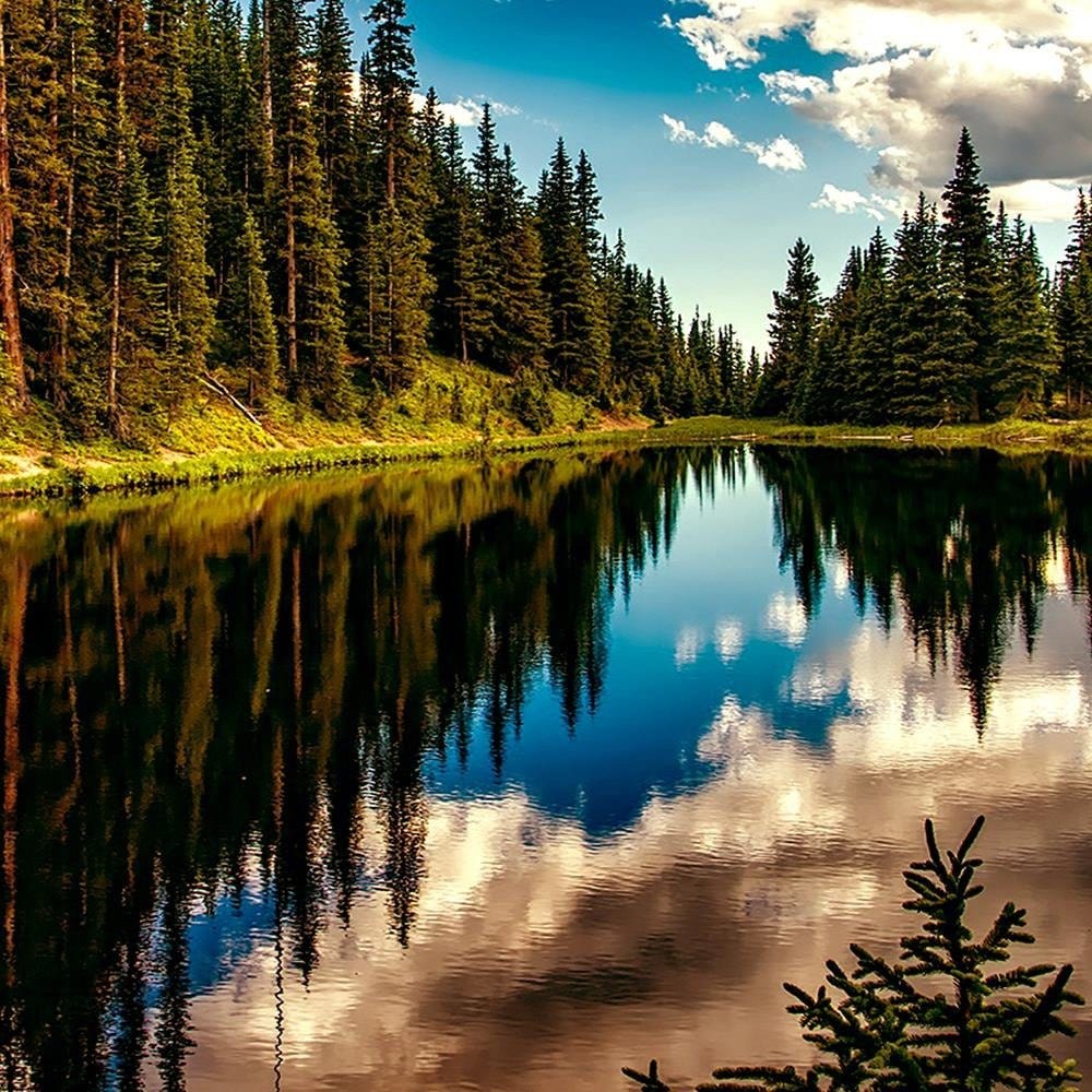 Glezna melnā rāmī - Reflection Of The Sky In The Lake Home Trends