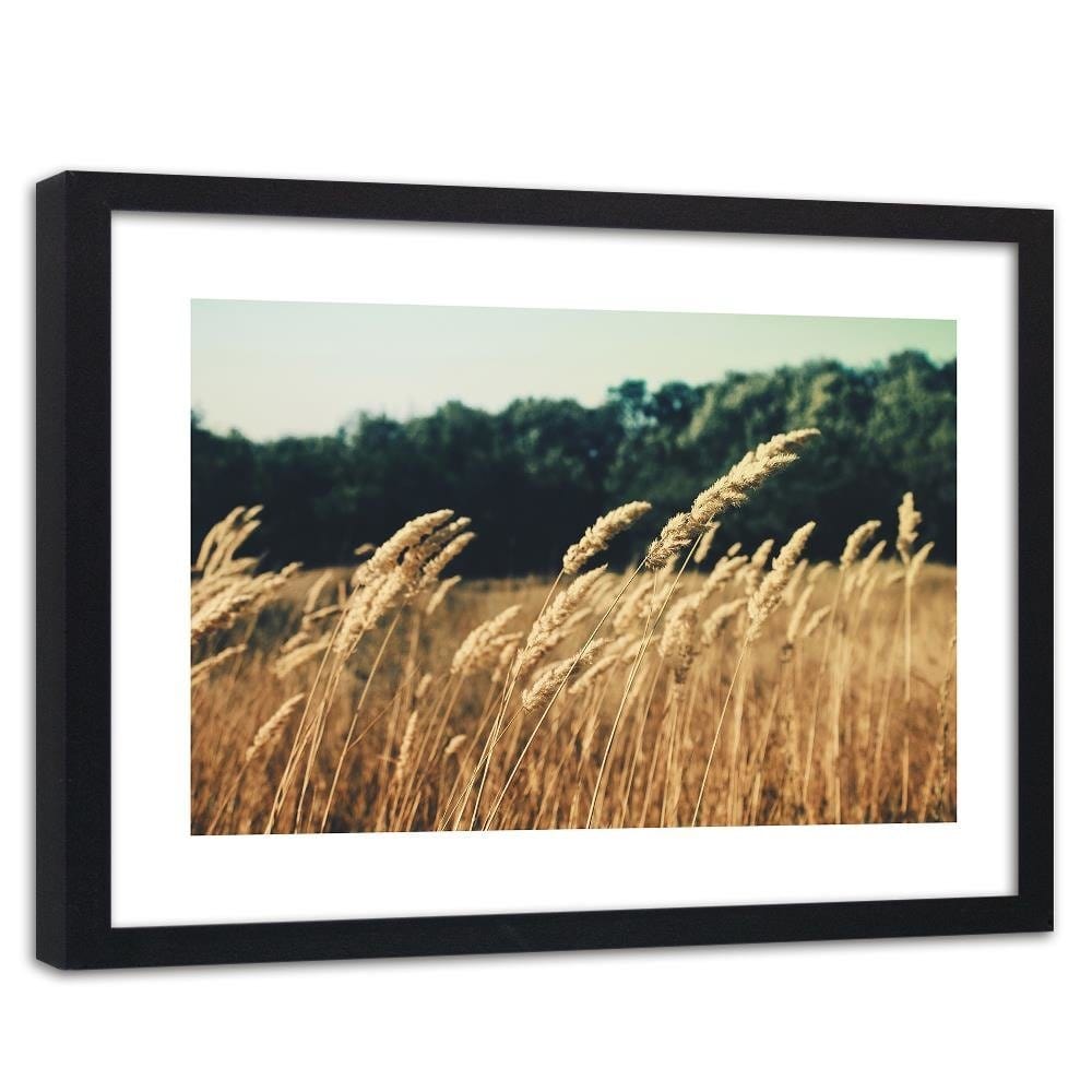 Glezna melnā rāmī - Ripe Corn  Home Trends