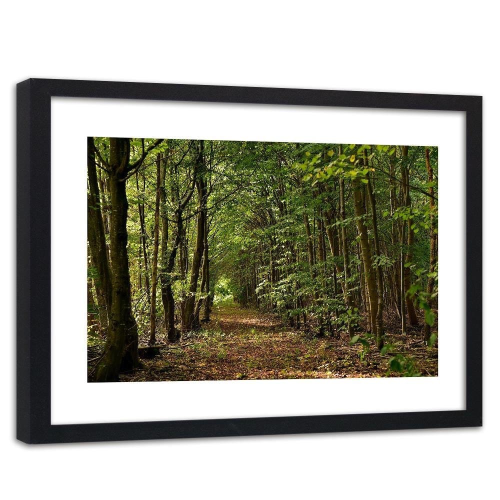 Glezna melnā rāmī - Road In The Dense Forest  Home Trends