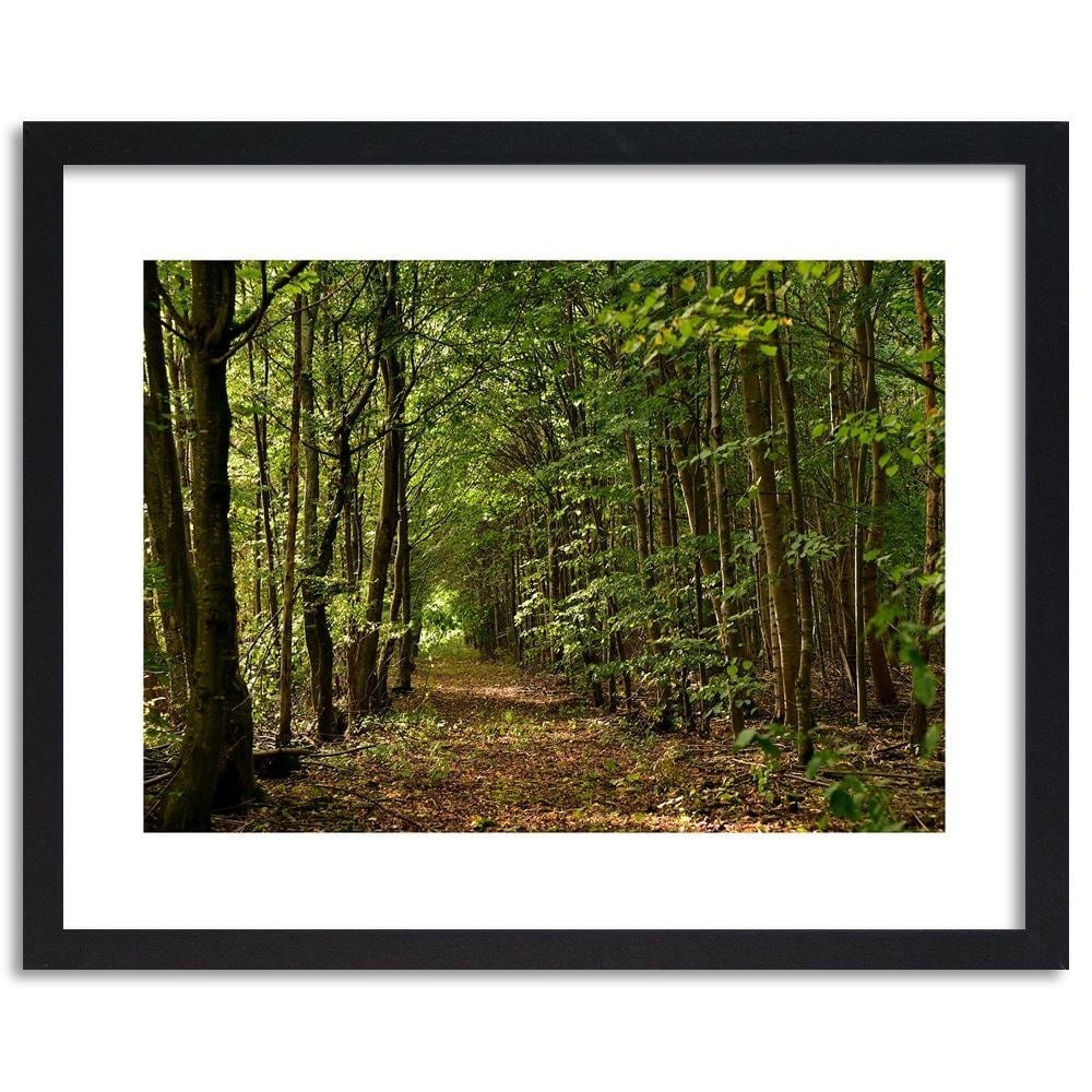 Glezna melnā rāmī - Road In The Dense Forest  Home Trends