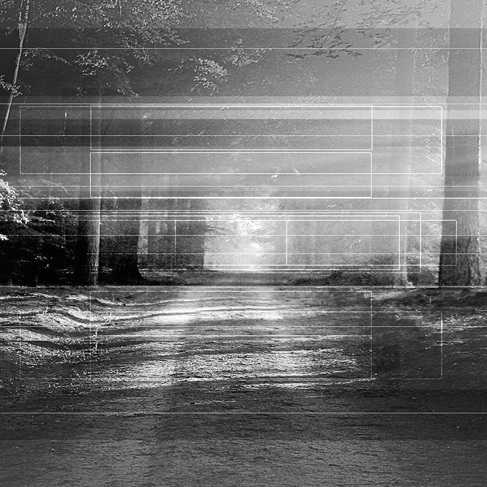 Glezna melnā rāmī - Road In The Forest 3 Home Trends