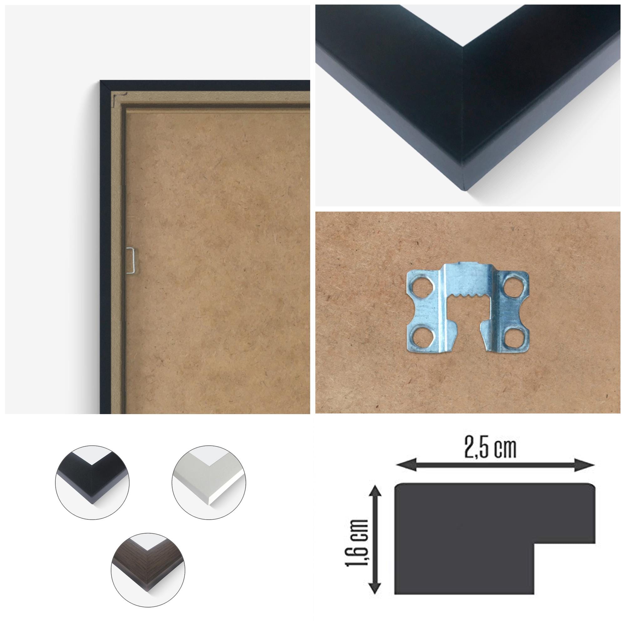 Glezna melnā rāmī - Rose In The Dark Home Trends