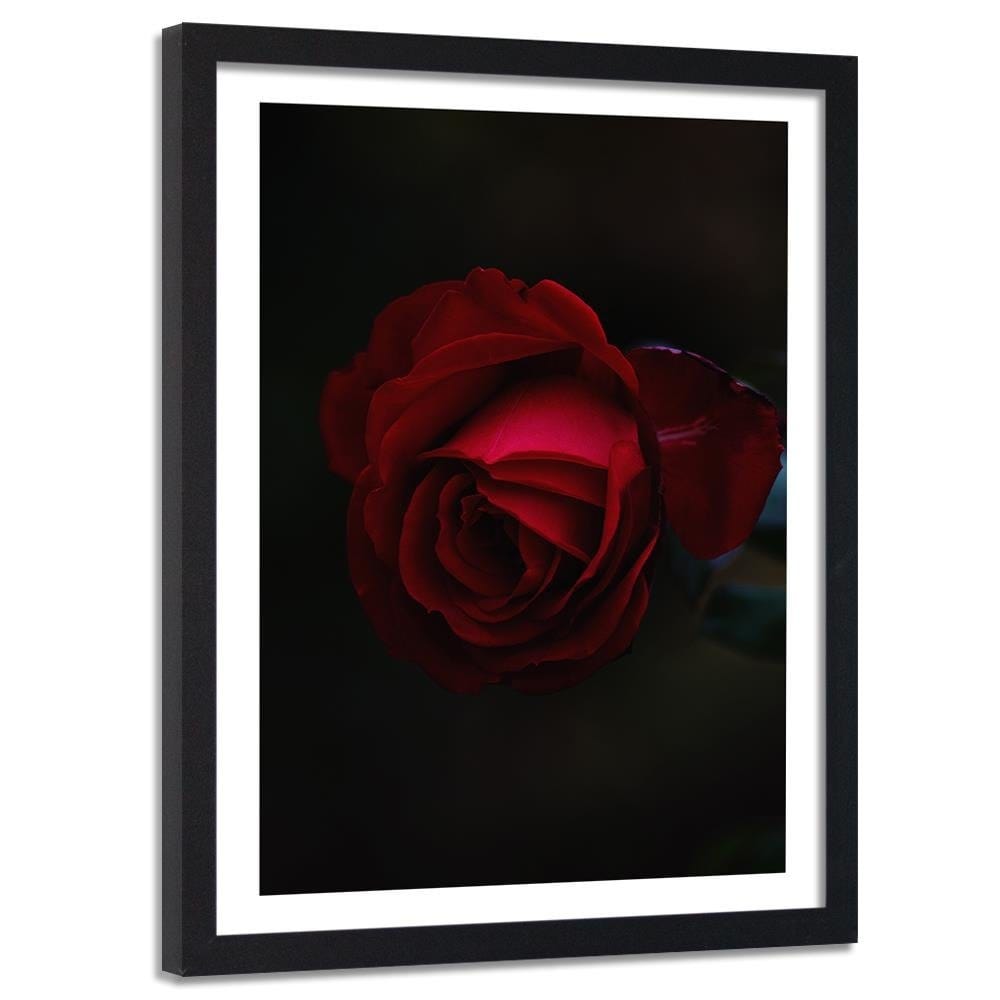 Glezna melnā rāmī - Rose On A Black Background  Home Trends