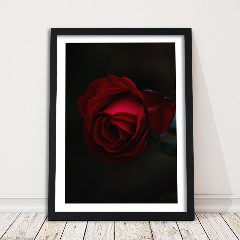 Glezna melnā rāmī - Rose On A Black Background  Home Trends