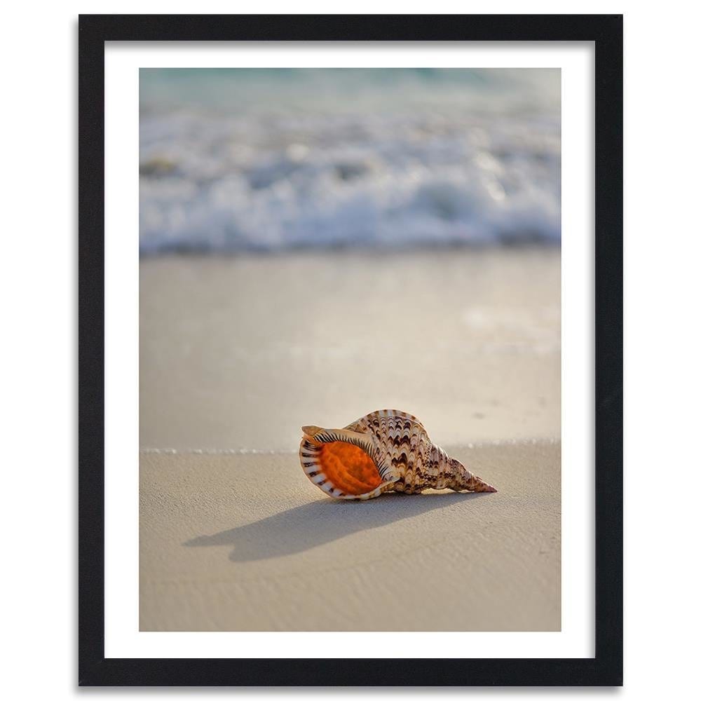 Glezna melnā rāmī - Shell On The Beach  Home Trends