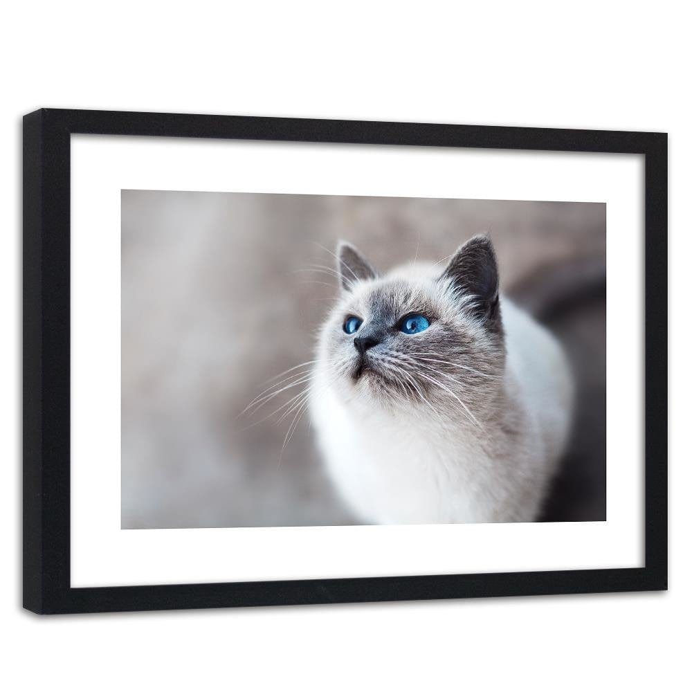 Glezna melnā rāmī - Siberian Cat Home Trends