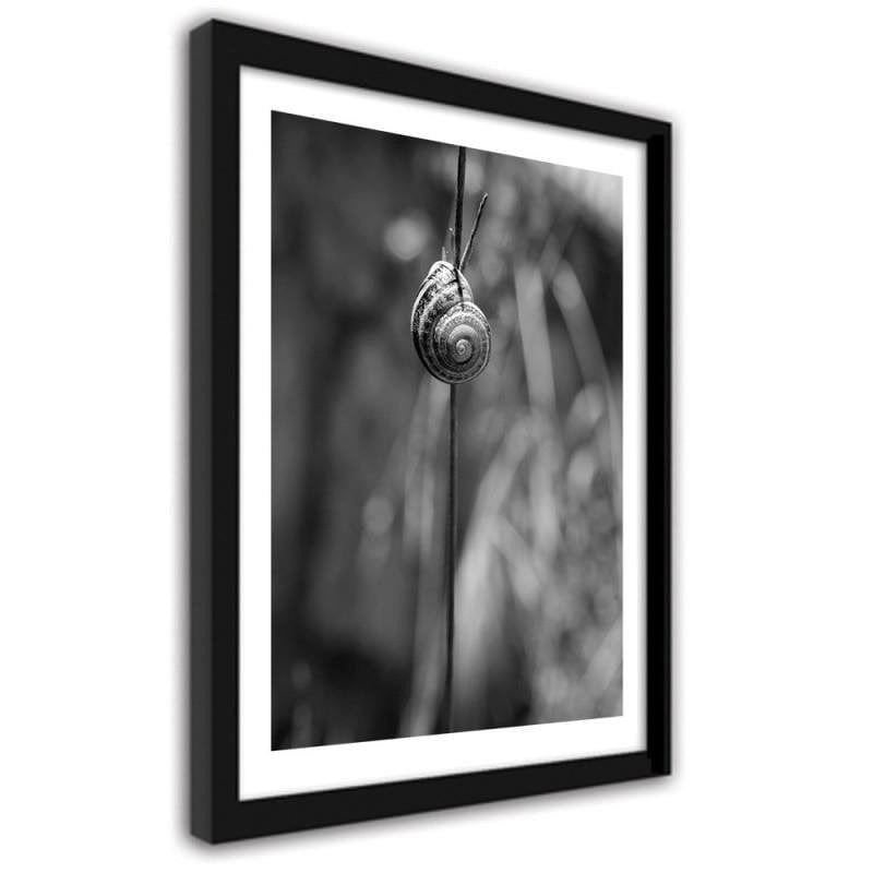 Glezna melnā rāmī - Snail on a branch Home Trends