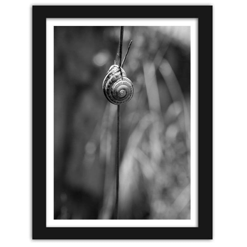 Glezna melnā rāmī - Snail on a branch Home Trends