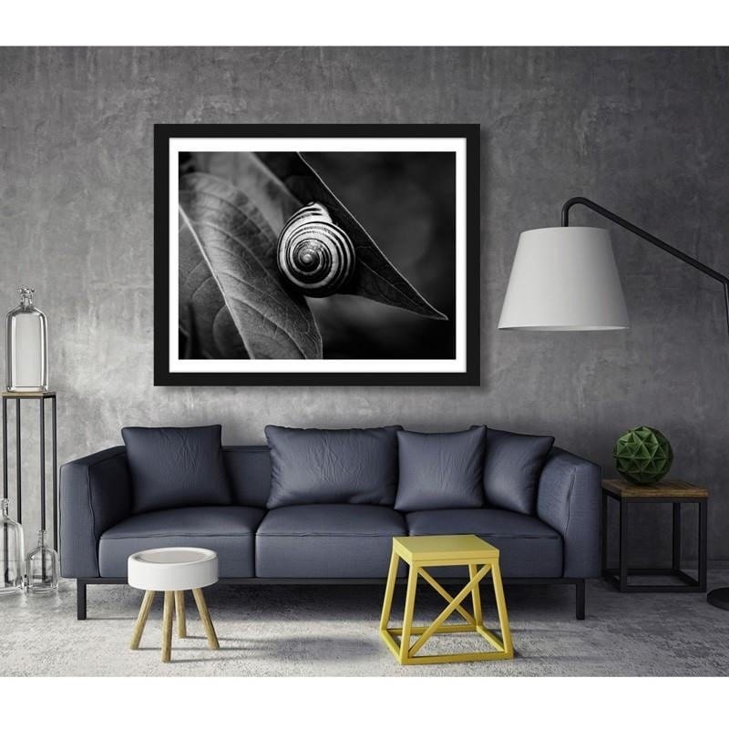 Glezna melnā rāmī - Snail on a leaf in summer Home Trends