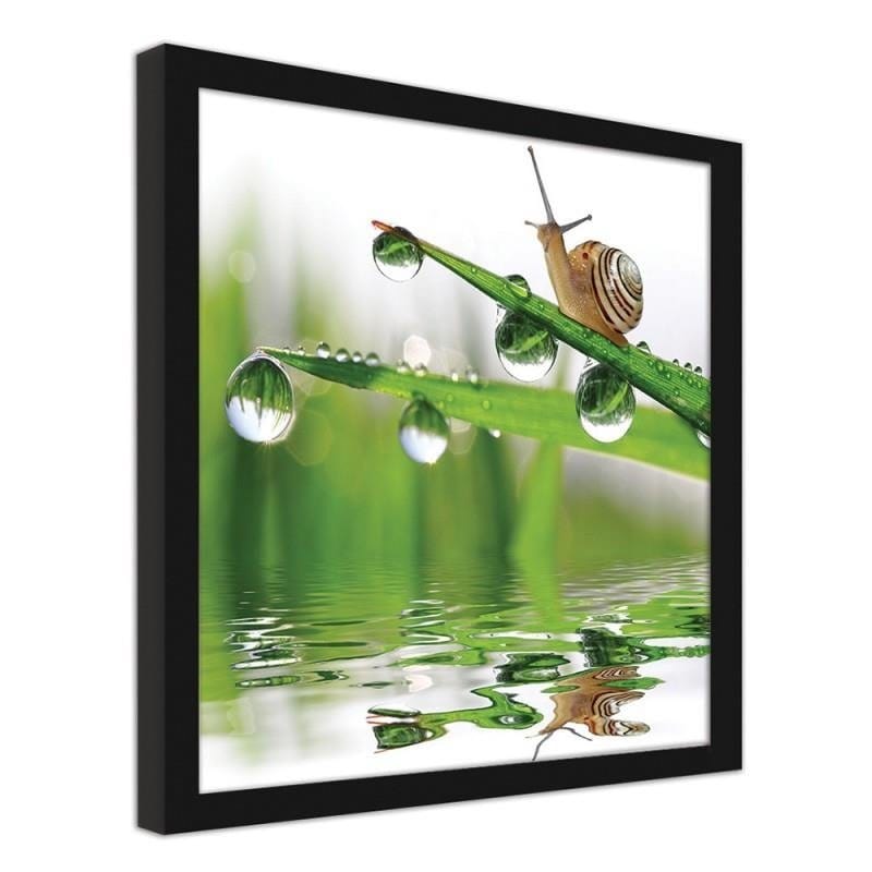 Glezna melnā rāmī - Snail on sprinkled grass Home Trends
