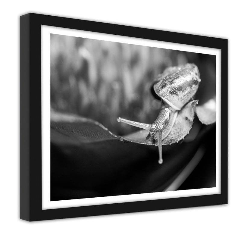 Glezna melnā rāmī - Snail on the leaf Home Trends