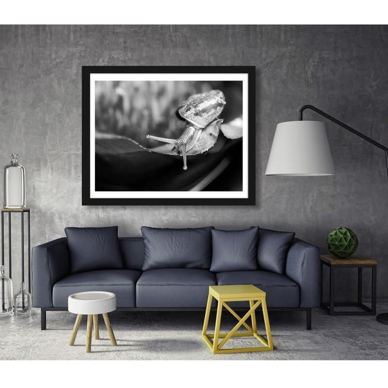 Glezna melnā rāmī - Snail on the leaf Home Trends