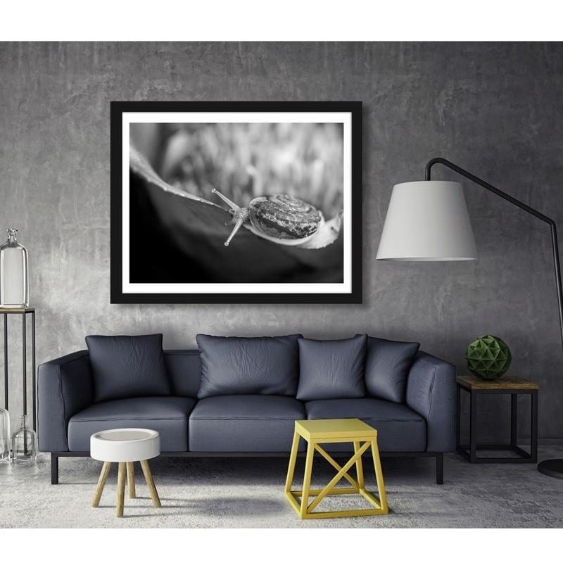 Glezna melnā rāmī - Snail on the plant Home Trends