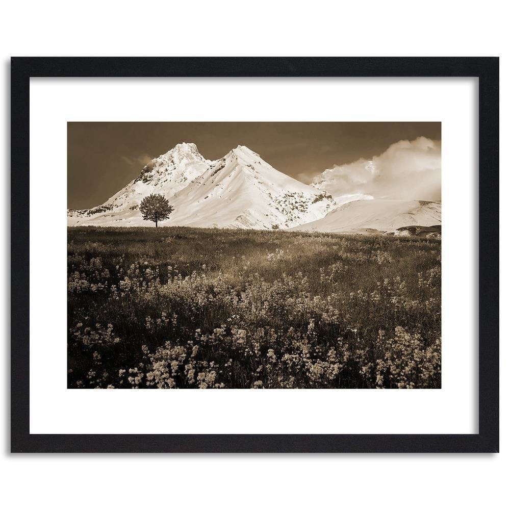 Glezna melnā rāmī - Snowy Mountains And Colorful Meadow 1 Home Trends