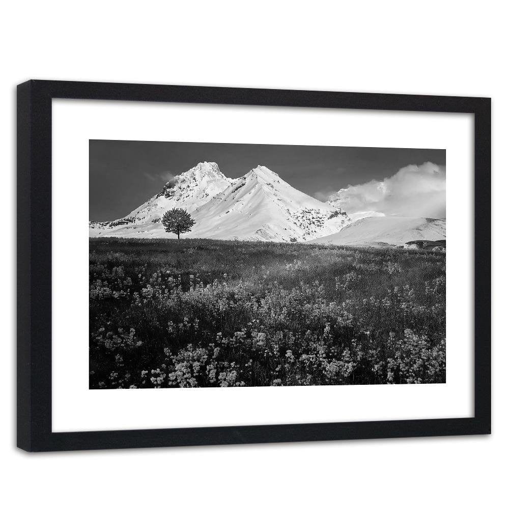 Glezna melnā rāmī - Snowy Mountains And Colorful Meadow 2 Home Trends