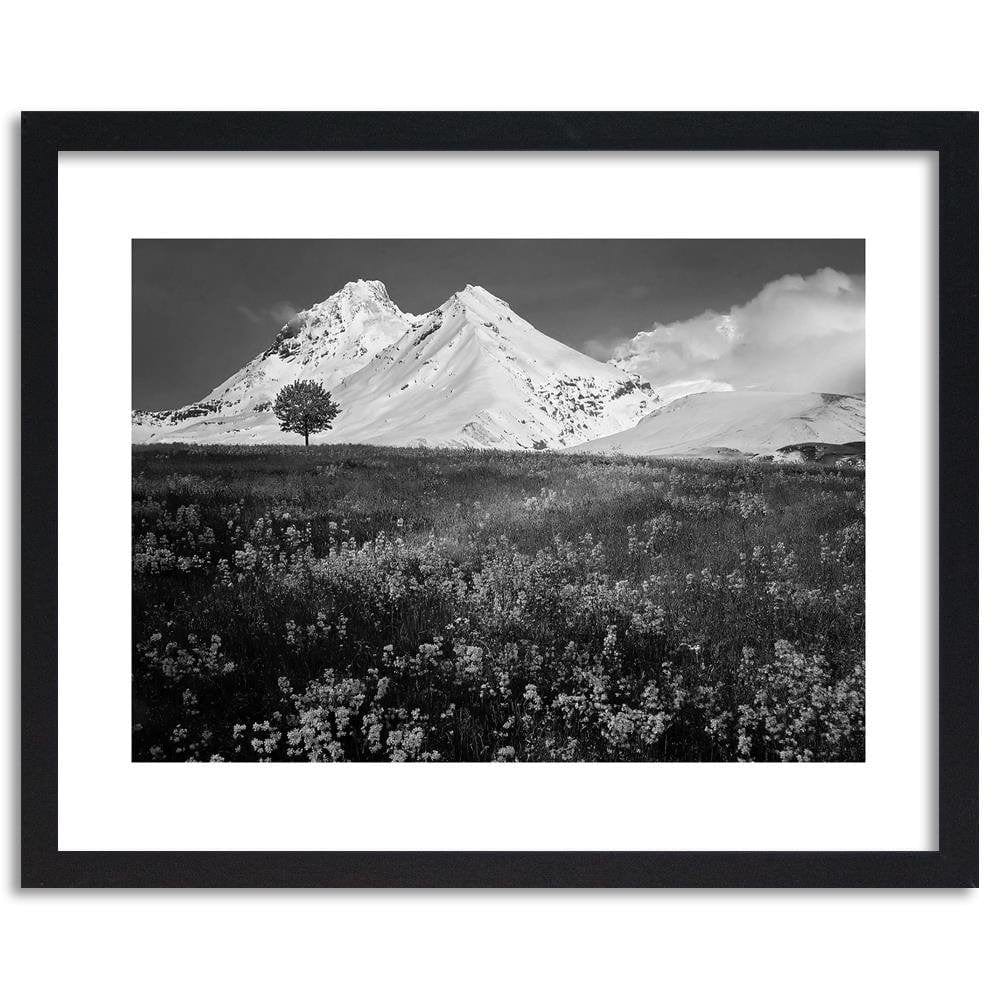 Glezna melnā rāmī - Snowy Mountains And Colorful Meadow 2 Home Trends