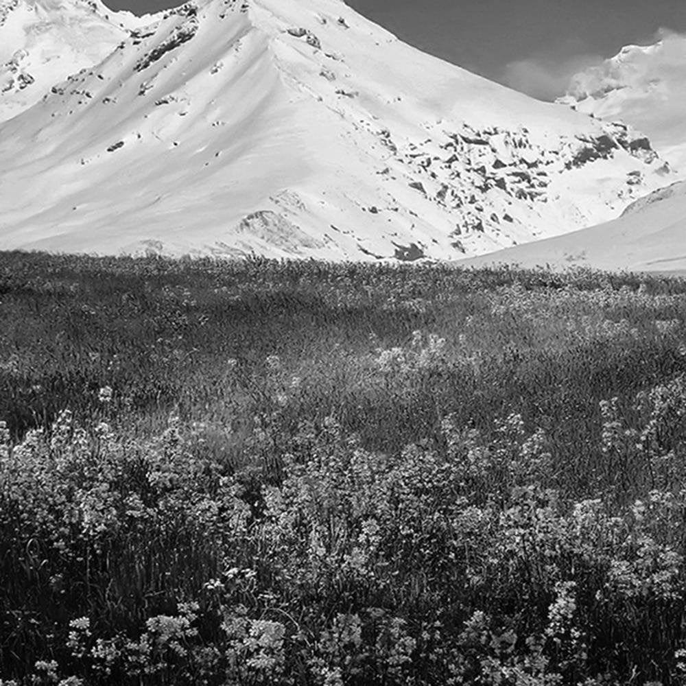Glezna melnā rāmī - Snowy Mountains And Colorful Meadow 2 Home Trends