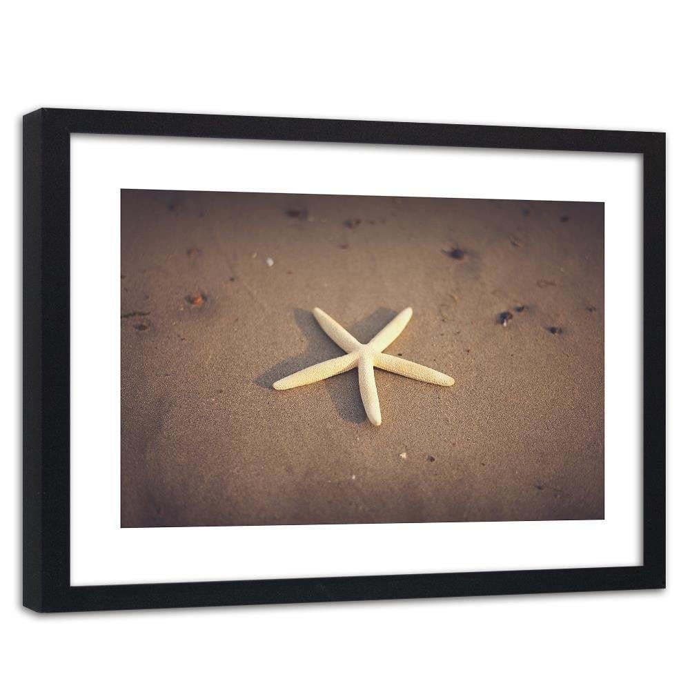 Glezna melnā rāmī - Starfish  Home Trends