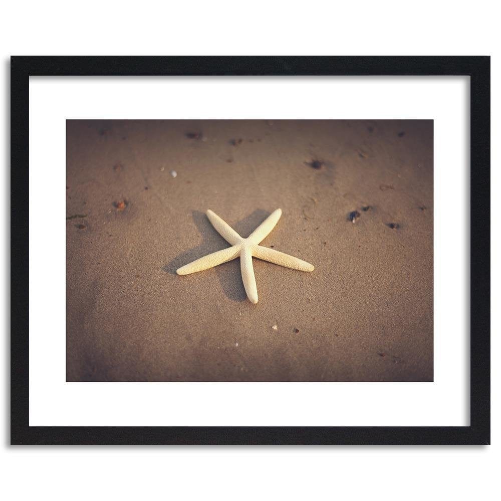 Glezna melnā rāmī - Starfish  Home Trends