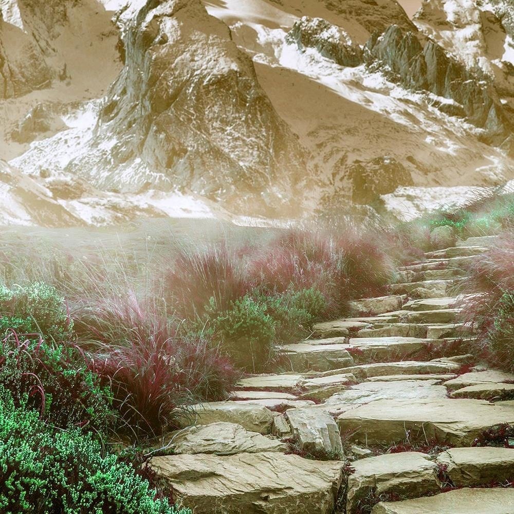 Glezna melnā rāmī - Stone Road To The Top 2 Home Trends