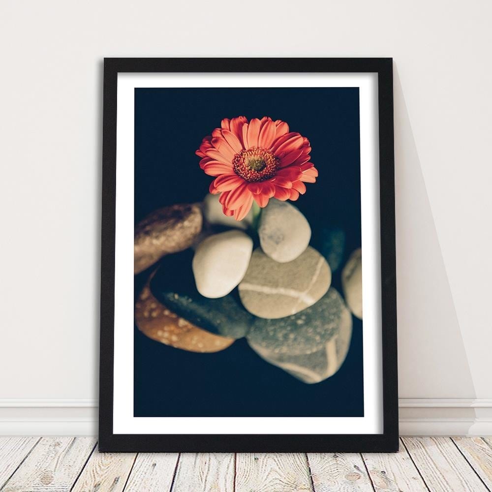 Glezna melnā rāmī - Stones And Red Flower  Home Trends