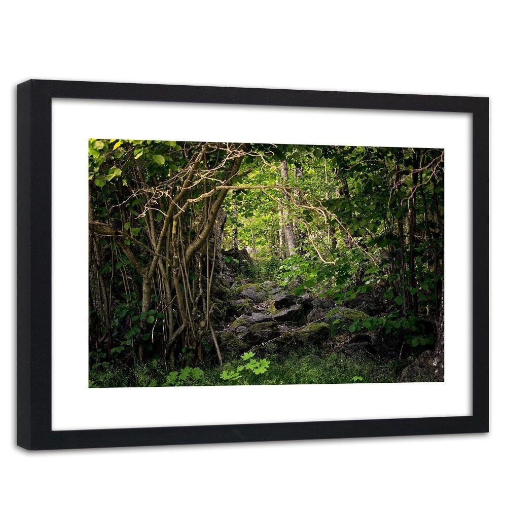 Glezna melnā rāmī - Stones In The Forest  Home Trends